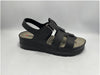 Black : Synthetic Pisa
