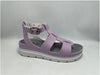 Lilac : Synthetic Pisa