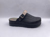 Black : Synthetic Pisa