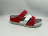 Red-White : Synthetic Pisa-Fanetta