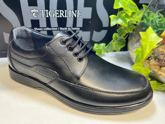Mens Shoes 621059