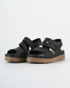 Black : Synthetic Pisa